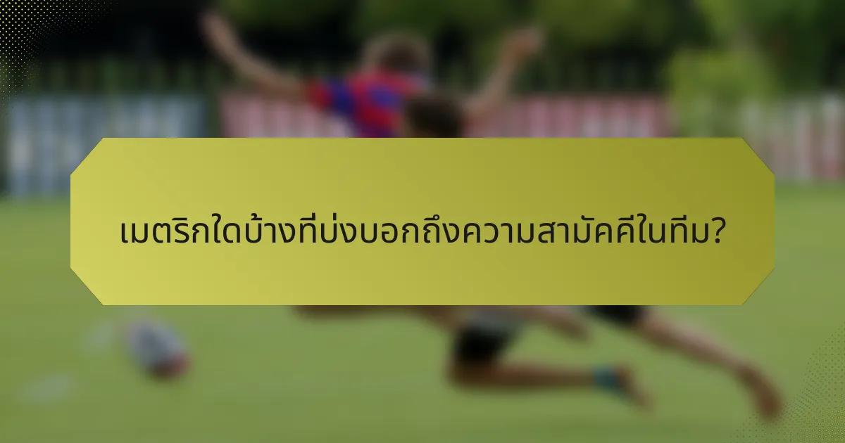 เมตริกใดบ้างที่บ่งบอกถึงความสามัคคีในทีม?