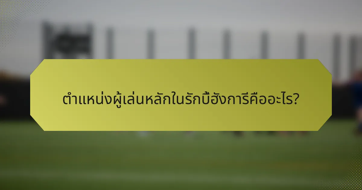ตำแหน่งผู้เล่นหลักในรักบี้ฮังการีคืออะไร?